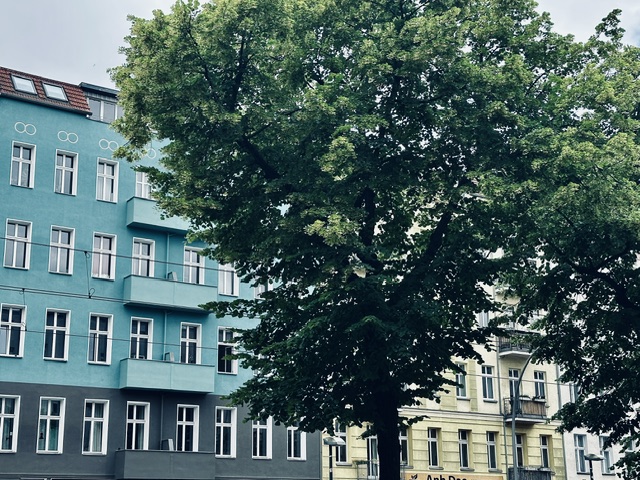 260601.jpg