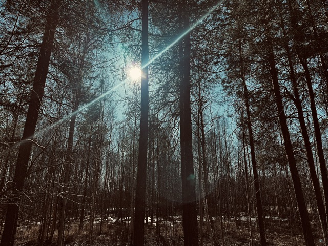 260412.jpg